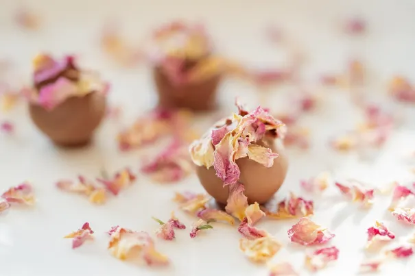 Andromeda Casino Application Android/iOS